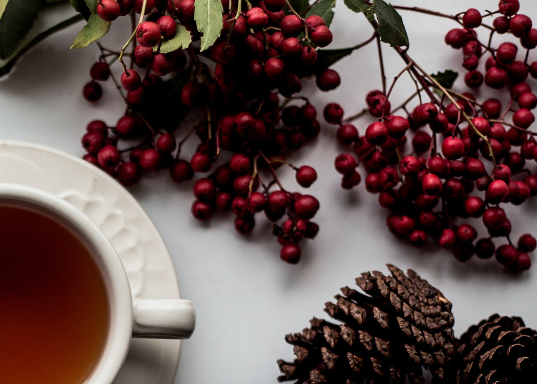 How to Create the Perfect Festive Table Setting Cole & Mason UK