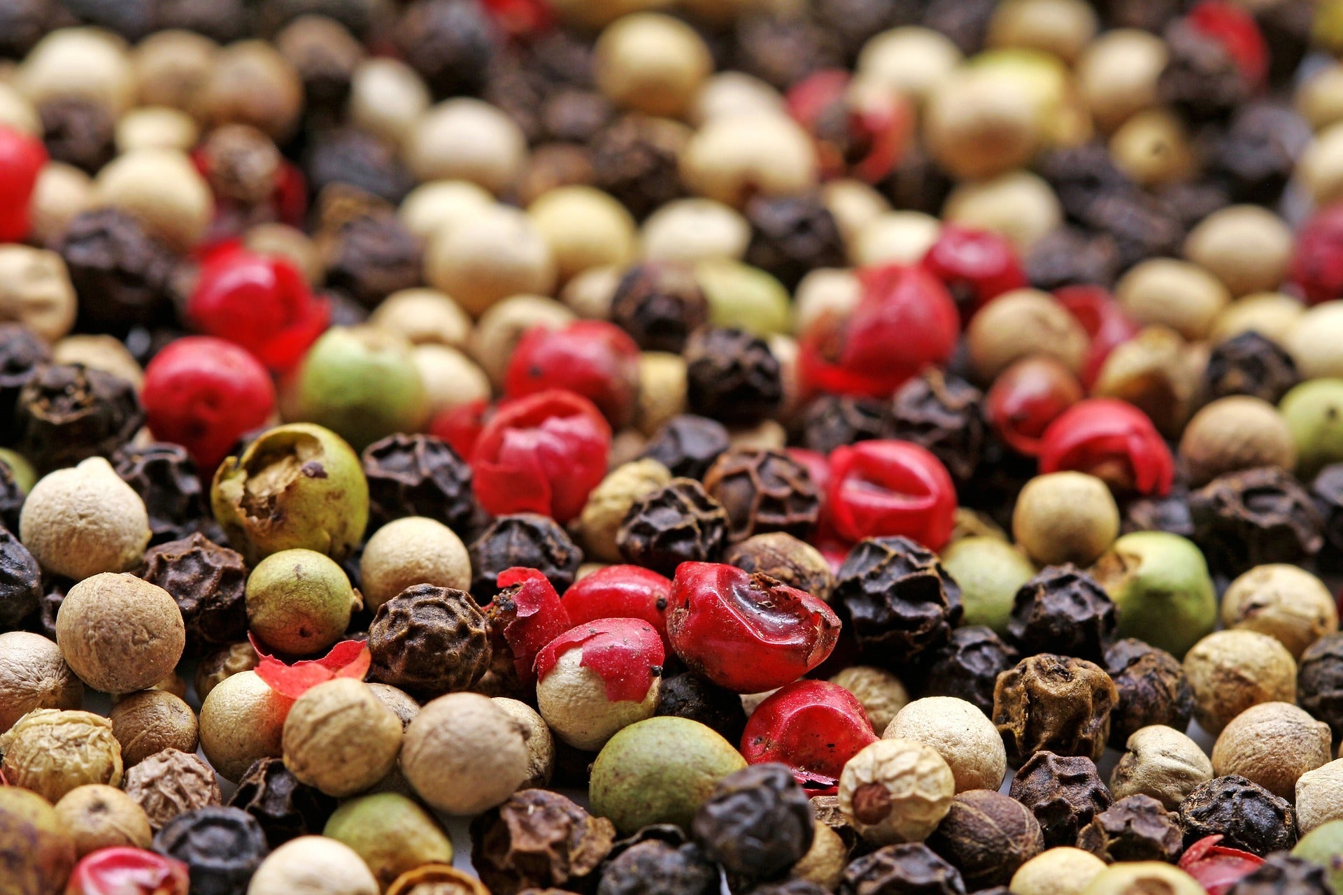 How to grow your own black peppercorn plant Cole & Mason UK